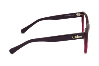 Chloé CH0241O 003 17 53 29847