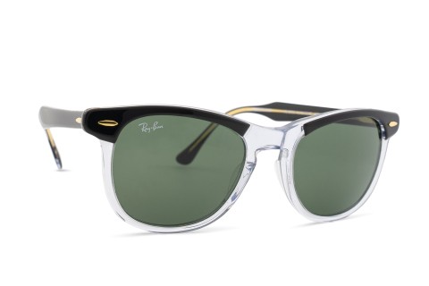 Ray-Ban Eagleeye RB2398 129431 53